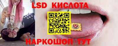 сатива Гатчина