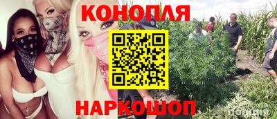 хмурый Гай
